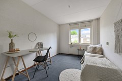 Tormentil 5 Castricum De Groot 33.JPG